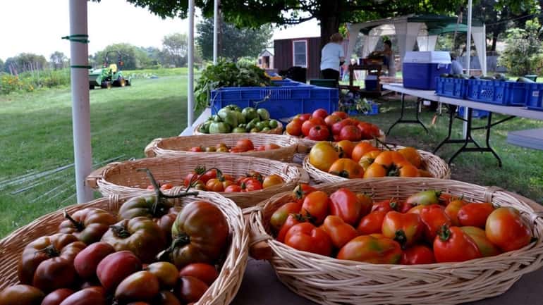 Heirloom tomatoes and other vegetables lie out on display for...
