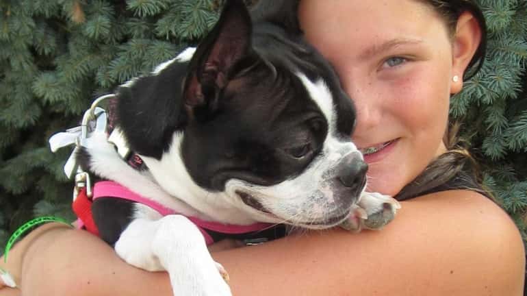 Hailey Lap, 11, of Sayville, hugs her 1-year-old Boston terrier,...