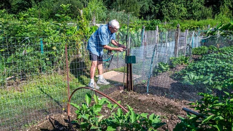 The Robert M. Kubecka Memorial Organic Garden in Greenlawn on...