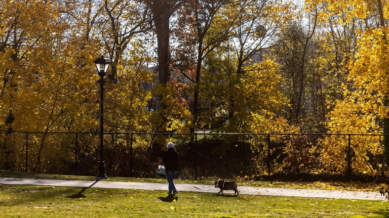 A visitor takes a December stroll in Mineola Memorial Park.