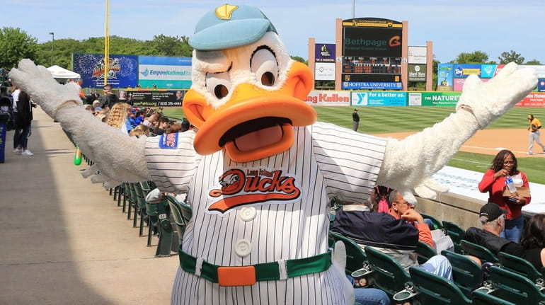 Quacker Jack the Long Island Ducks Mascot poses for a photo...