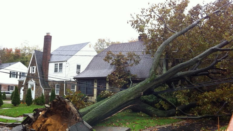 A tree fell on a house on Harvard Street near...