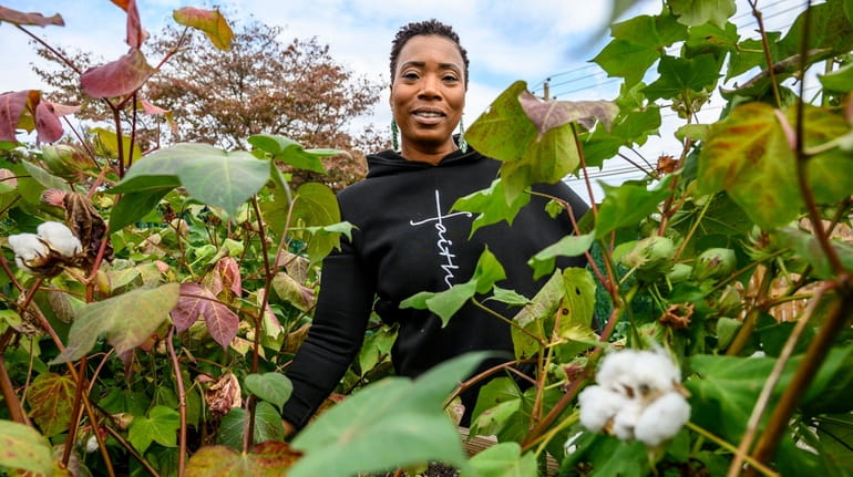 Gloria Cassell is growing cotton at the Roosevelt Community Garden....