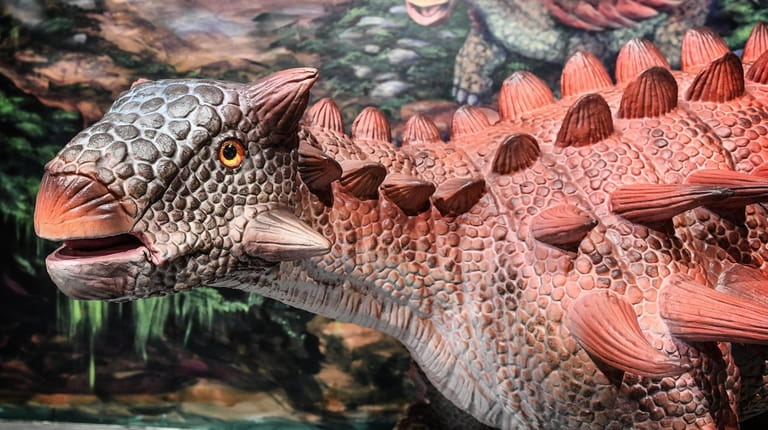 See an animatronic Ankylosaurus at the Dinosaurs! exhibit at the...