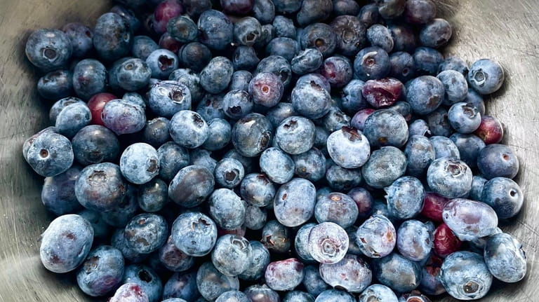 Pick your own blueberries at Patty's Berries and Bunches in...