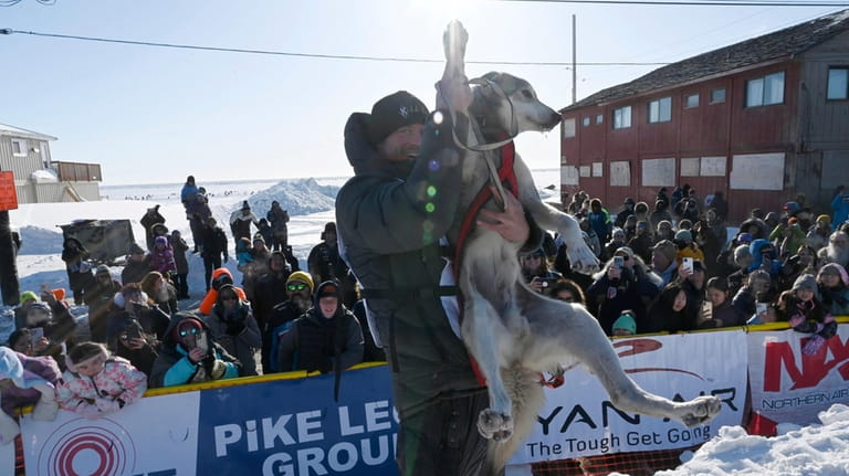 Dallas Seavey lifts up one of his dog team members,...