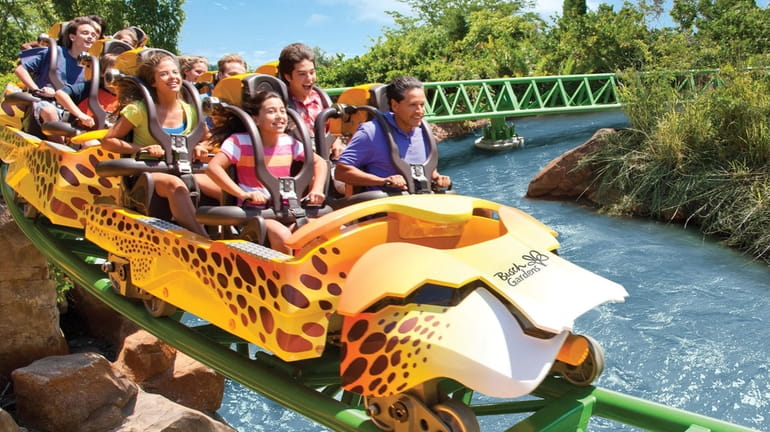 The Cheetah Hunt roller coaster at Busch Gardens Tampa Bay...