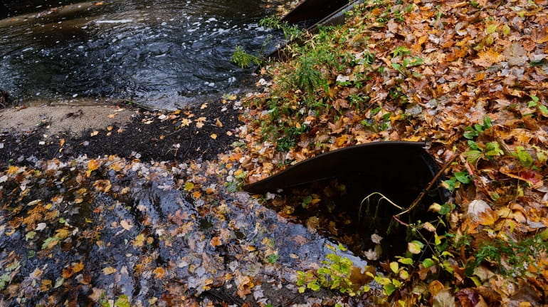 Culverts along the Northeast Branch of the Nissequogue River will...