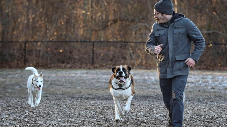 Bruce Pandolfo, of Hauppauge, runs with his dogs at Blydenburgh...