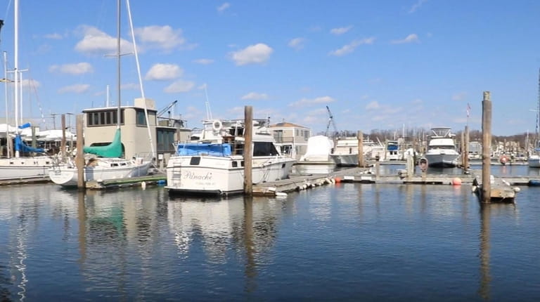 A view of boats docked at Toms Point Marina from...