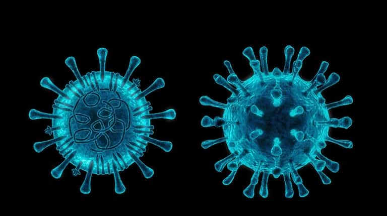 Human coronaviruses, once just the cause of the common cold,...