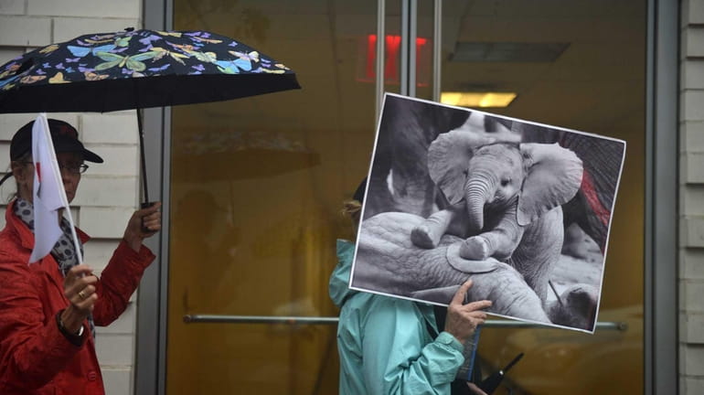 A poster of a baby elephant seen during the Global...