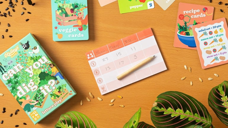 Can you dig it? is a fast-paced, garden-themed card game.