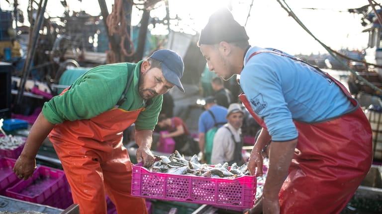 Fishermen transport their catch after docking in the main port...
