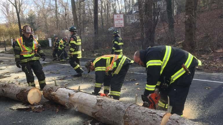Centerport firefighters clear a tree from Route 25A in Centerport...