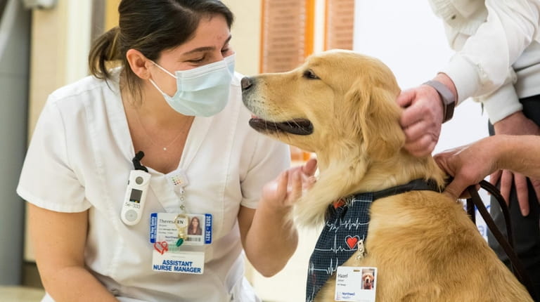 Assistant Nurse Manager Theresa Bruno greets Hazel, a therapy dog...