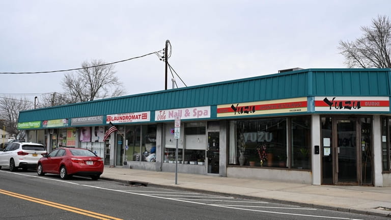 Stores along East Meadow Avenue.