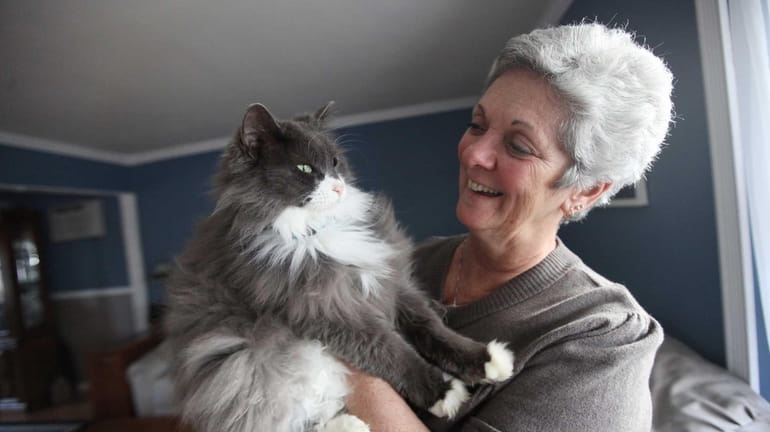 Charlene Lanigan holds her cat McGee at her home in...