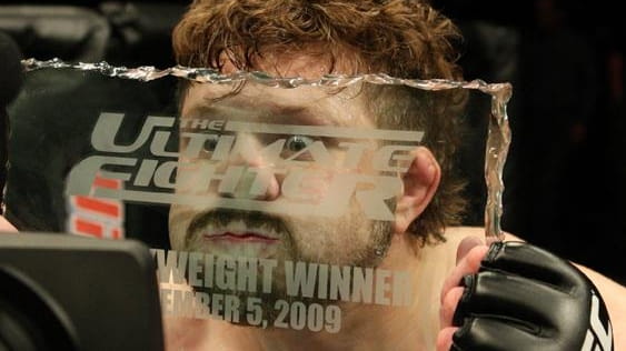 Roy Nelson defeated Brendan Schaub via first-round knockout to be...