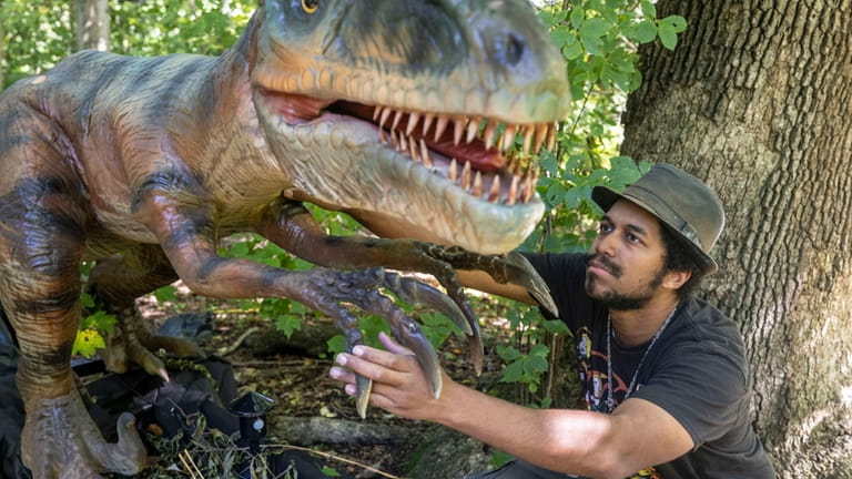 Tanglewood staffer Christopher Lake II gets a dinosaur ready for Halloween. 