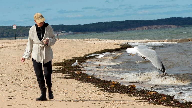 Peg Narin walks Friday on Crab Meadow Beach in Fort...