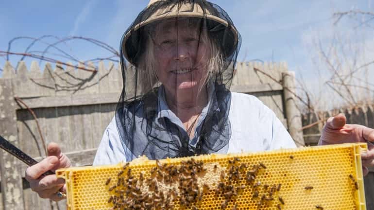 Robin Blackley, owner of East End Apiaries, with one of...