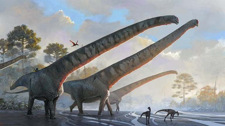 These sauropods, late Jurassic dinosaurs, lived in what is now...