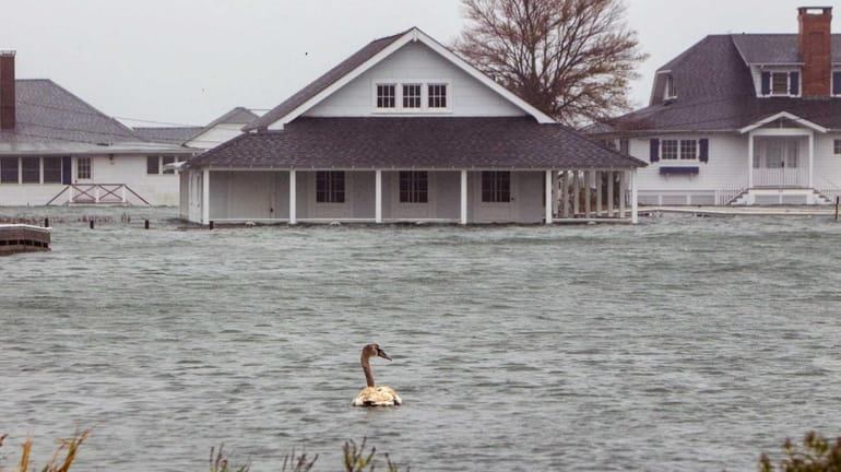 Floodwaters run through Cutchogue late last year after superstorm Sandy....